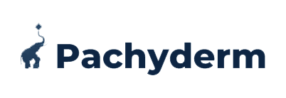 Logo for Pachyderm